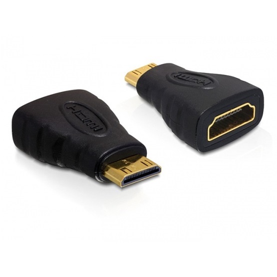 Delock 65244 High Speed HDMI C apa > A anya adapter