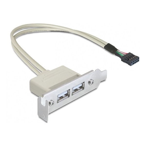 Delock 83119 USB 2.0 2 port Low Profile slot konzol