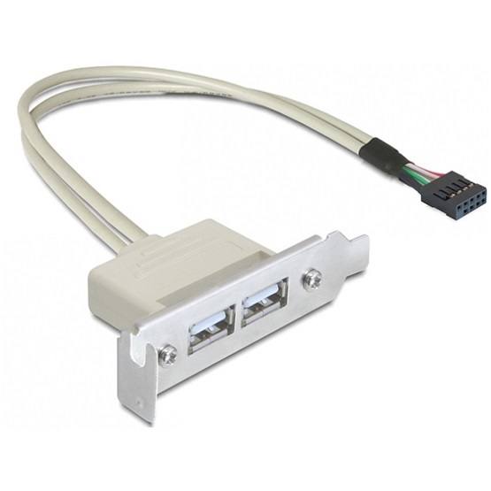 Delock 83119 USB 2.0 2 port Low Profile slot konzol
