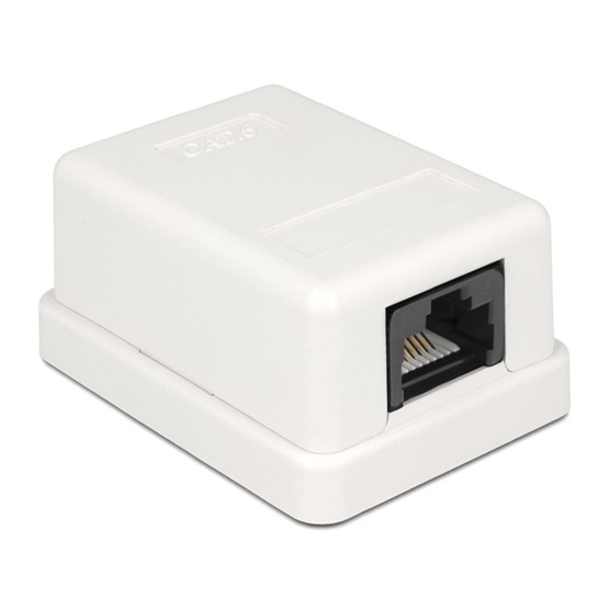 Delock 86248 Cat.6A UTP moduláris fali 1portos kimenet