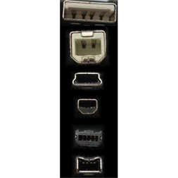 GEMBIRD USB adapter 6 portos