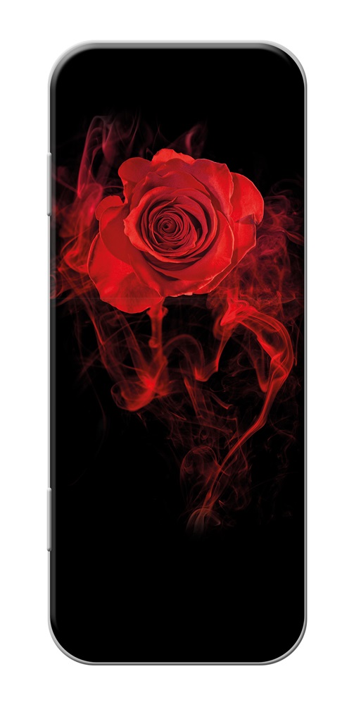Aristo Red Rose fém tolltartó