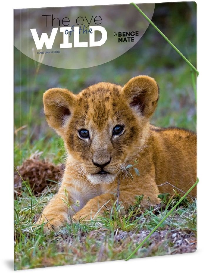 Ars Una The eyes of the wild lion 5216 A4 gumis mappa
