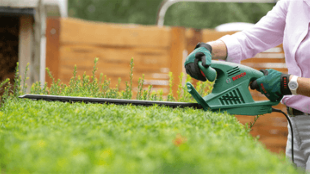 Bosch EasyHedgecut 55 elektromos sövényvágó