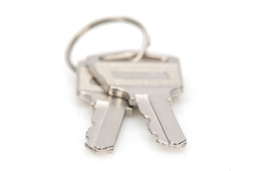 DIGITUS DN-45000-KEY Kulcs DN-45000/DN-45002/DN-45005 töltőkocsihoz 2db
