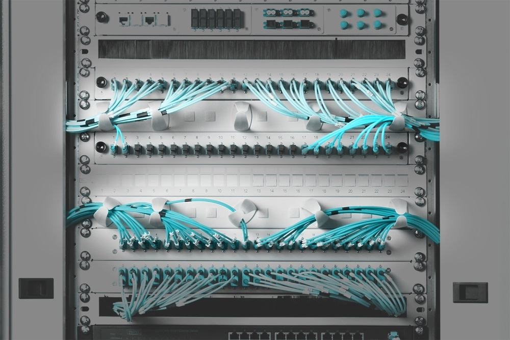DIGITUS DN-97601-2 19" 1U műanyag gyűrűs szürke kábelrendező