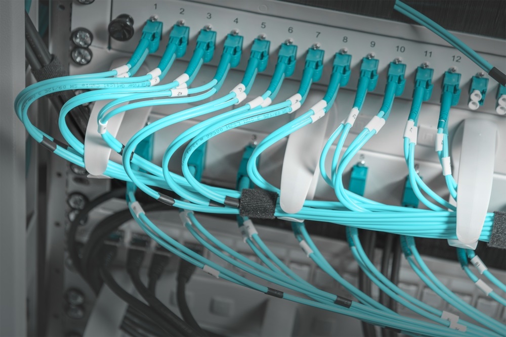 DIGITUS DN-97601-2 19" 1U műanyag gyűrűs szürke kábelrendező