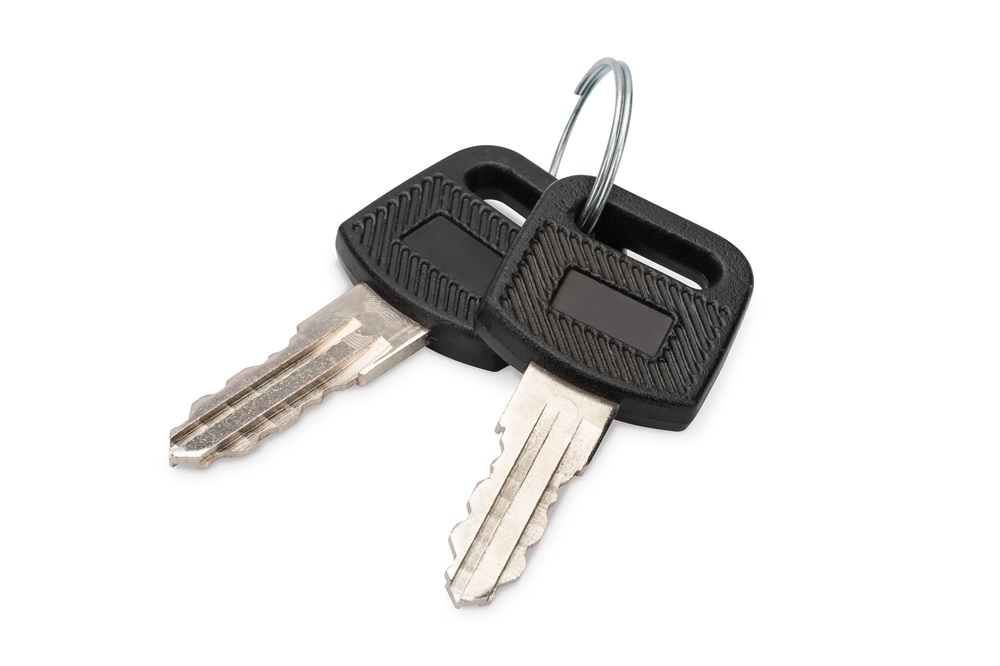 DIGITUS DN-KEY-WM Kulcs SOHO/Unique fali rackszekrény sorozathoz 2db