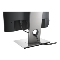 Dell 19" P1917S DVI-D/DP/VGA LCD monitor