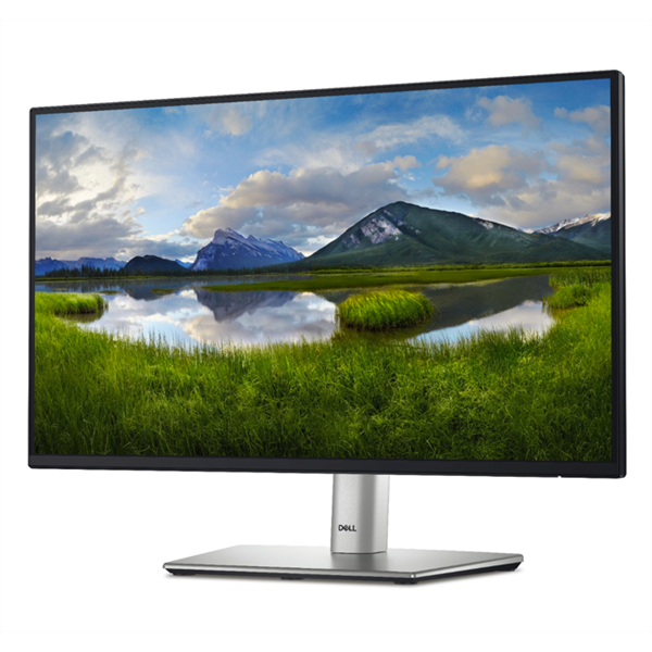 Dell 21,5" P2225H FHD 100Hz DP/HDMI/VGA/USB/USB-C ezüst monitor
