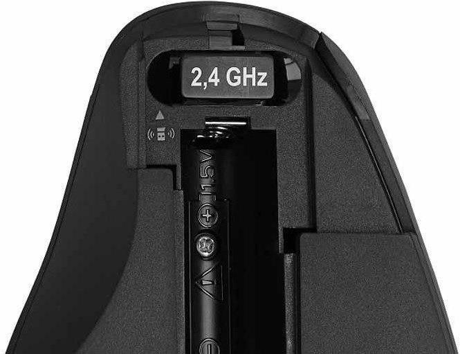 Delock 12598 Ergonómikus vezetéknélküli USB egér