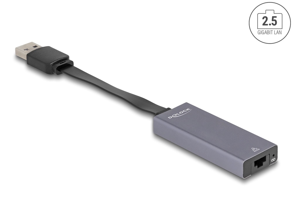 Delock 66247 USB A - 2,5 Gigabit LAN adapter