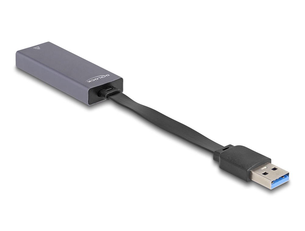 Delock 66247 USB A - 2,5 Gigabit LAN adapter