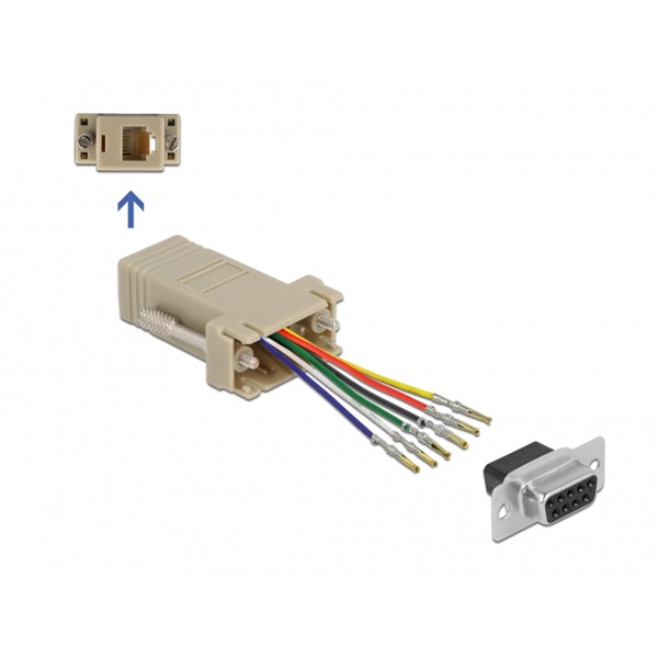 Delock 66759 D-Sub 9-tűs anya - RJ12 6P/6C anya összekötő adapter