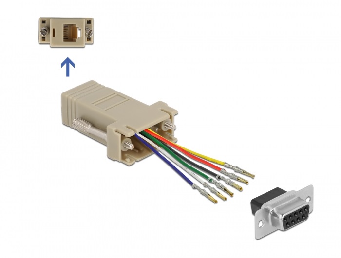 Delock 66759 D-Sub 9-tűs anya - RJ12 6P/6C anya összekötő adapter