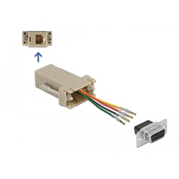 Delock 66770 D-Sub 9-tűs anya - RJ11/RJ14 6P/4C anya összekötő adapter