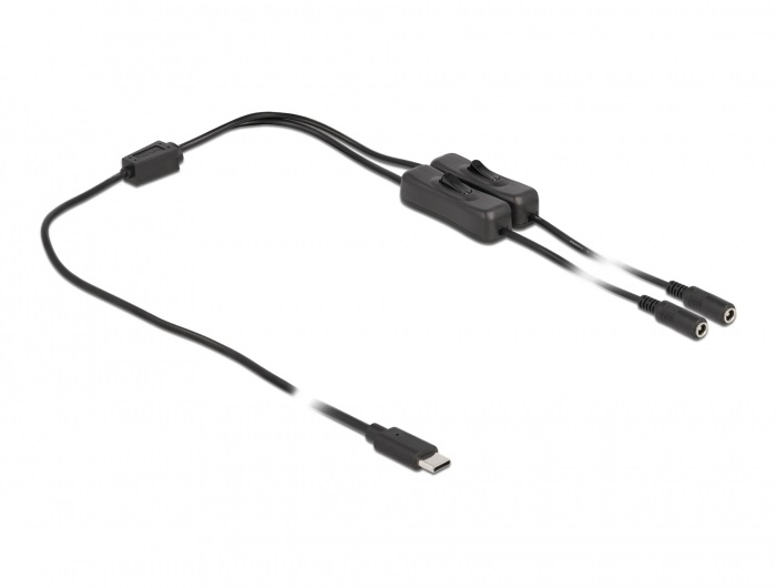Delock 86800 1m USB-C apa - 2xDC5,5x2,1mm anya max. 10W kapcsolós kábel