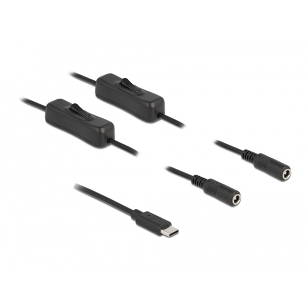 Delock 86800 1m USB-C apa - 2xDC5,5x2,1mm anya max. 10W kapcsolós kábel