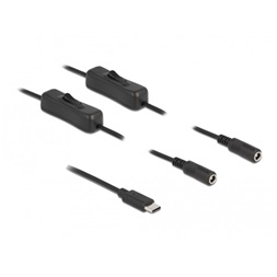 Delock 86800 1m USB-C apa - 2xDC5,5x2,1mm anya max. 10W kapcsolós kábel
