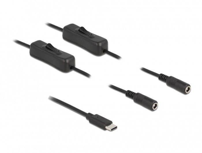 Delock 86800 1m USB-C apa - 2xDC5,5x2,1mm anya max. 10W kapcsolós kábel