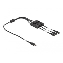 Delock 86801 1m USB-C apa - 3xDC5,5x2,1mm anya max. 10W kapcsolós kábel