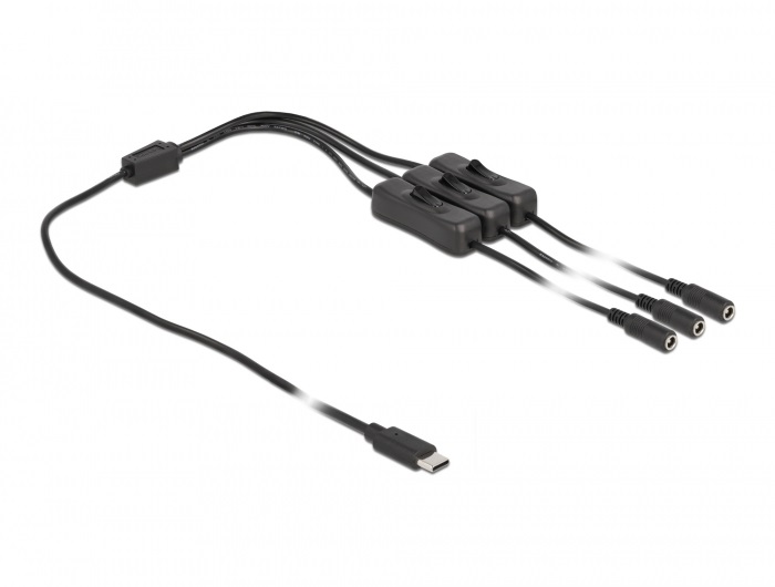 Delock 86801 1m USB-C apa - 3xDC5,5x2,1mm anya max. 10W kapcsolós kábel