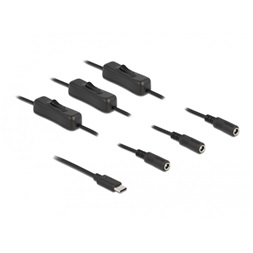Delock 86801 1m USB-C apa - 3xDC5,5x2,1mm anya max. 10W kapcsolós kábel