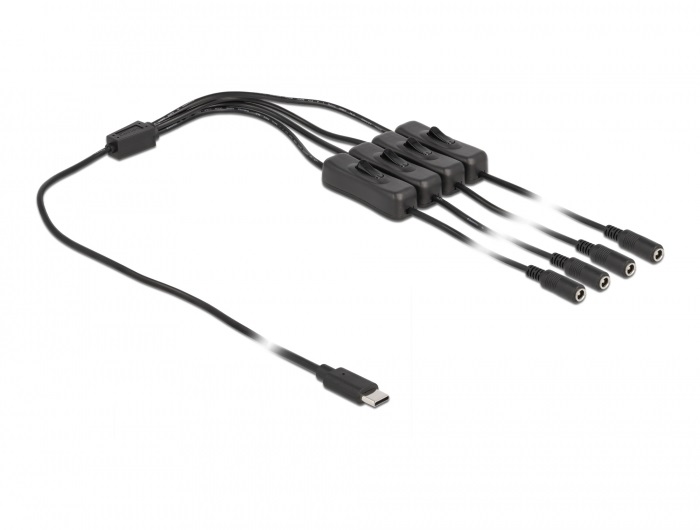 Delock 86802 1m USB-C apa - 4xDC5,5x2,1mm anya max. 10W kapcsolós kábel