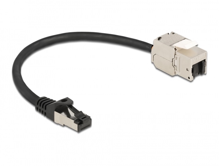 Delock 87022 25cm Cat.6A RJ45 apa - Keystone modulos RJ45 anya kábel
