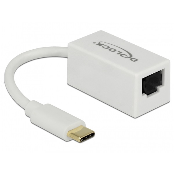 Delock 65906 Adapter SuperSpeed USB (USB 3.1 Gen 1) USB Type-C csatlakozódugóval > Gigabit LAN 10/100/100