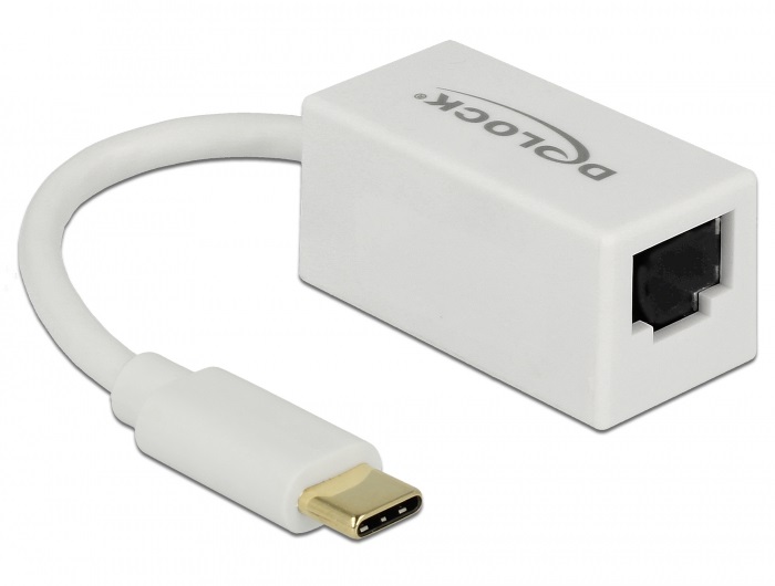 Delock 65906 Adapter SuperSpeed USB (USB 3.1 Gen 1) USB Type-C csatlakozódugóval > Gigabit LAN 10/100/100