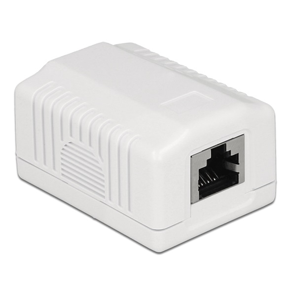 Delock 86196 Hálózati fali aljzat, 1 port, Cat.6A LSA
