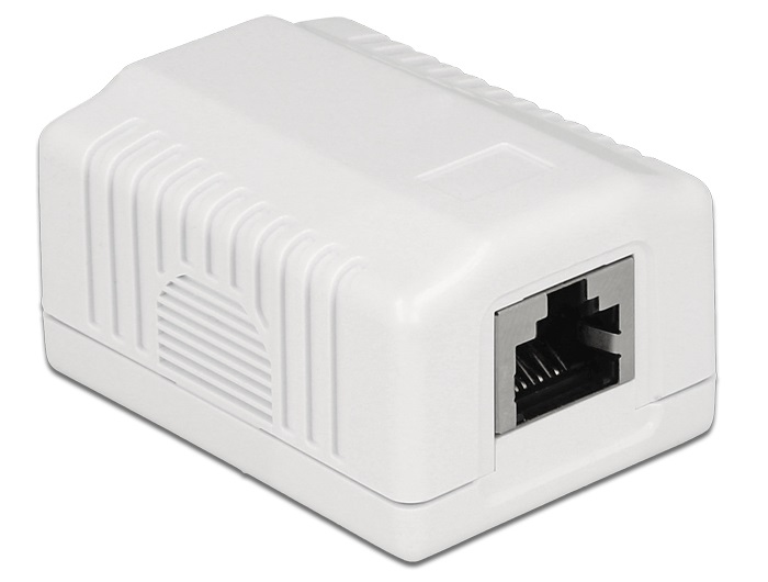 Delock 86196 Hálózati fali aljzat, 1 port, Cat.6A LSA