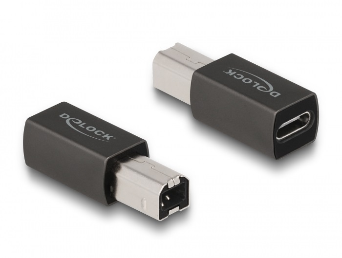 Delock 65839 USB 2.0 adapter USB Type-C  anya   B-típusú apa