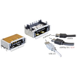 Delock 65297 csatlakozó eSATApd anya eSATA + USB 2.0 5 V / 12 V