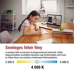 Emos ZQ9D33 classic JC 4,3W(48W)  600lumen G9 LED izzó