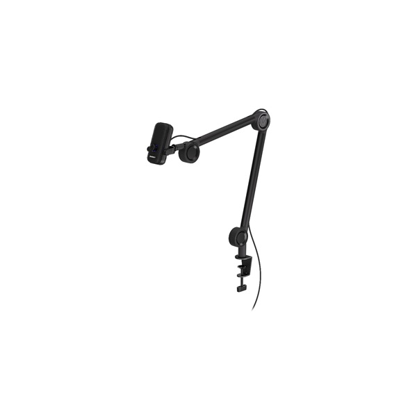 Endorfy Solum Voice 2m USB-C fekete mikrofon