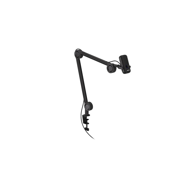 Endorfy Solum Voice 2m USB-C fekete mikrofon