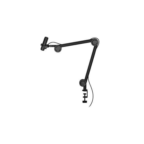 Endorfy Solum Voice 2m USB-C fekete mikrofon