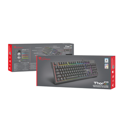Genesis NKG-1645 Thor 210 RGB Gamer billentyuzet, US kiosztás