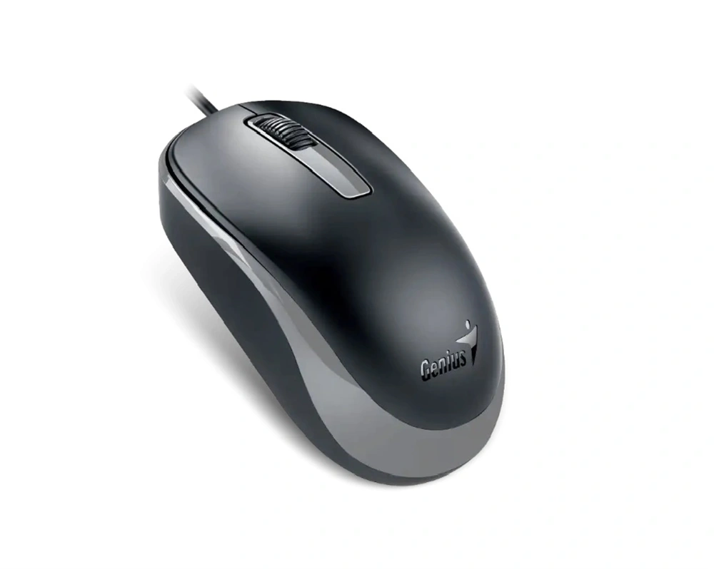 Genius DX-125S USB fekete-szürke egér