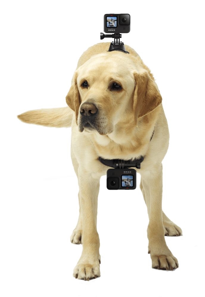 GoPro ADOGM-001 Kutyahámhoz tervezett GoPro Csatlakozás