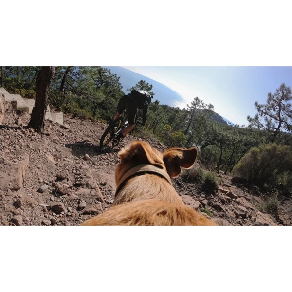 GoPro ADOGM-001 Kutyahámhoz tervezett GoPro Csatlakozás