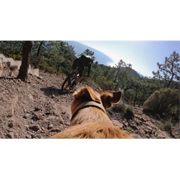 GoPro ADOGM-001 Kutyahámhoz tervezett GoPro Csatlakozás