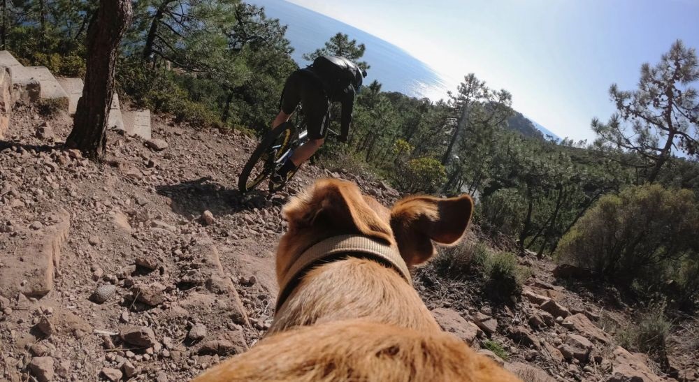 GoPro ADOGM-001 Kutyahámhoz tervezett GoPro Csatlakozás