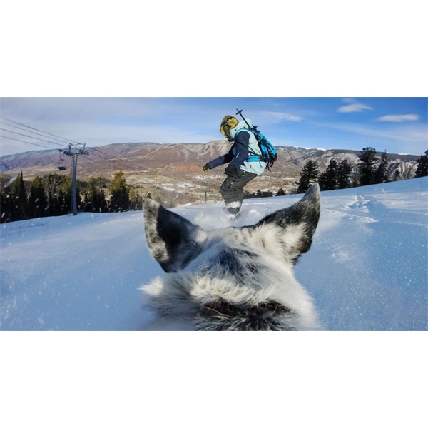 GoPro ADOGM-001 Kutyahámhoz tervezett GoPro Csatlakozás