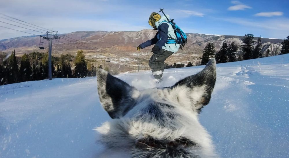 GoPro ADOGM-001 Kutyahámhoz tervezett GoPro Csatlakozás