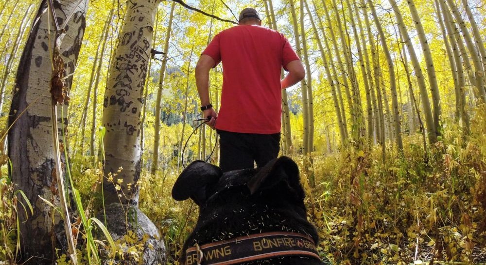 GoPro ADOGM-001 Kutyahámhoz tervezett GoPro Csatlakozás