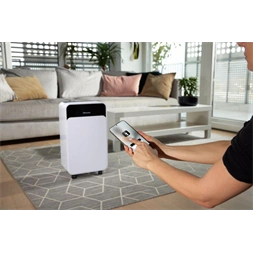 Hisense D16CW páramentesítő