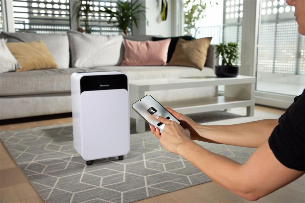 Hisense D16CW páramentesítő